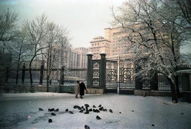Москва зимняя и новогодняя. Часть вторая