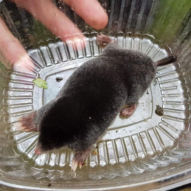 Прикольные и просто красивые картинки 04.04.2025