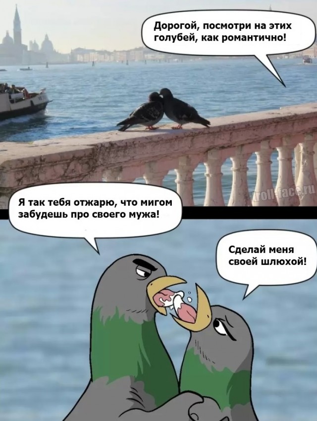 Обуревший глухарь.