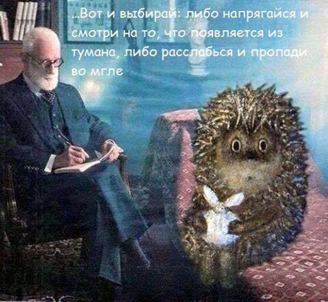 Прикольные и просто красивые картинки 11.04.2025