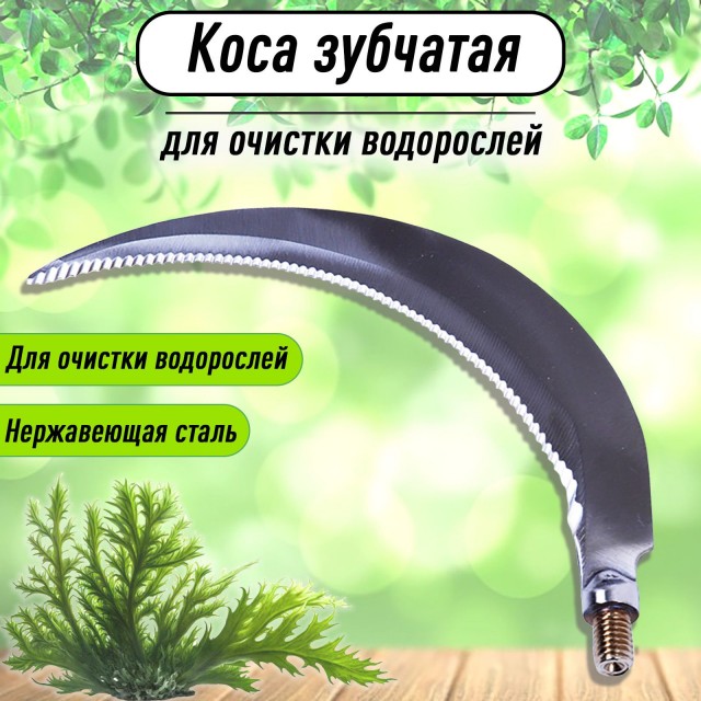 Запределье. Лента