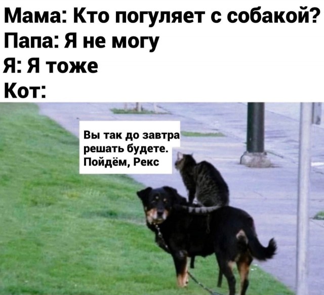 Так себе картинки 21.05.25