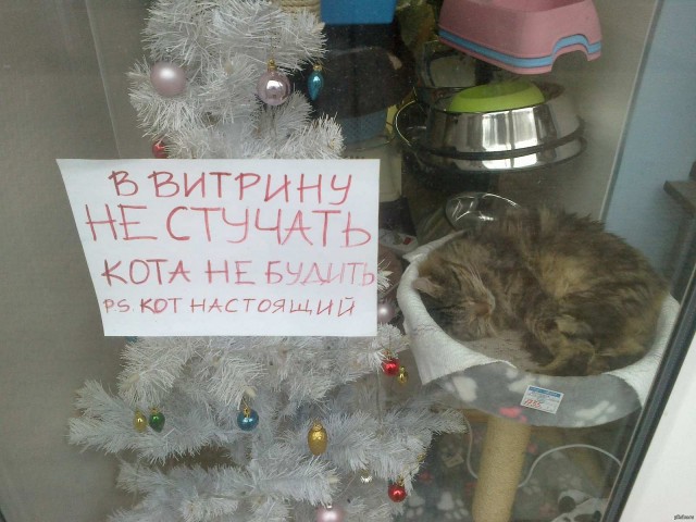 Картиночки на 08.10.2026