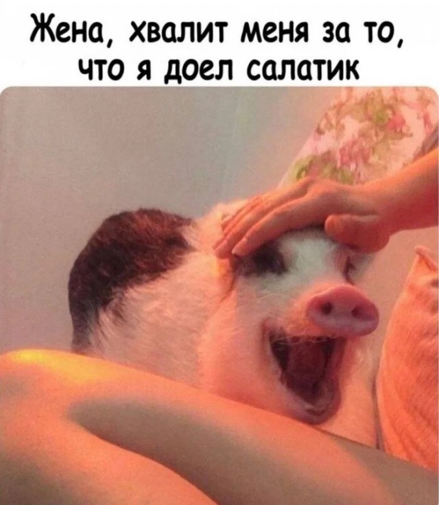 Среды картинки