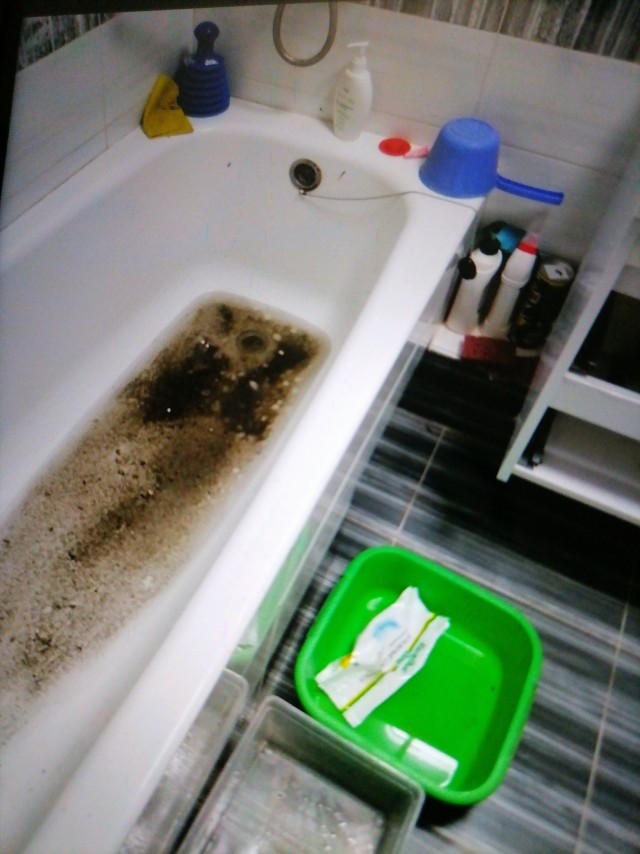 Сидела женщина скучала?