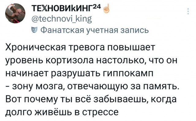 Берегите мозги