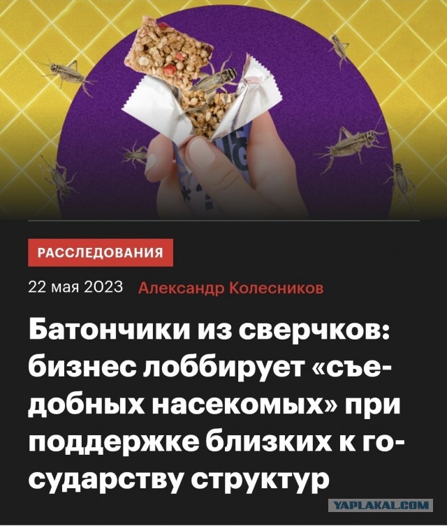 «Мираторг» не видит перспектив развития в мясном скотоводстве