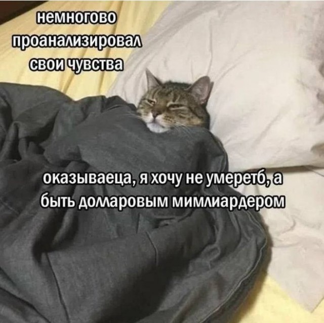 Картиночки, баянчики 25 июня