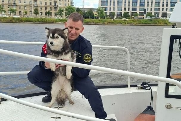 Собаку выловили из Невы, где она час боролась с течением