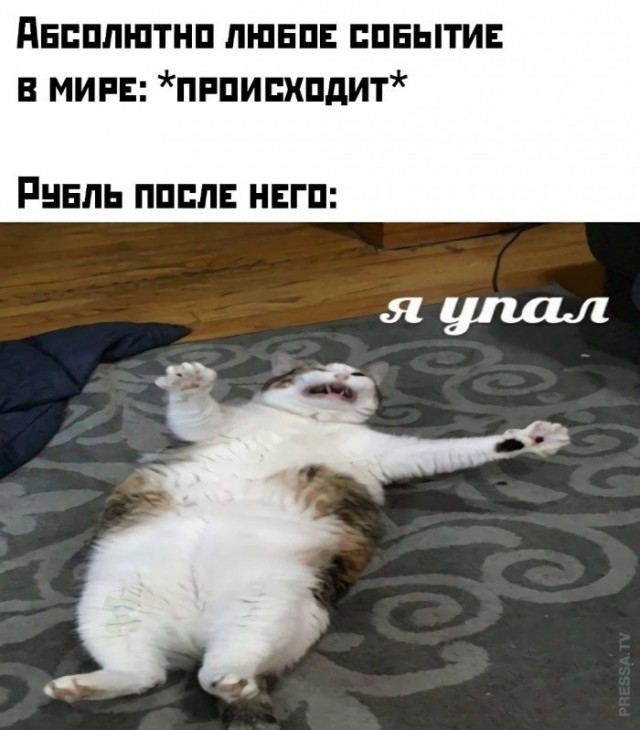 Веселые картинки в пятницу (07.08)