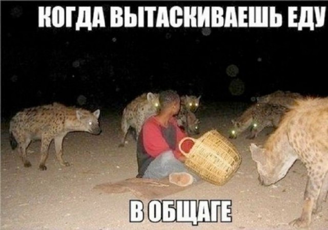 Картинки для деградации 251 (разной степени свежести)