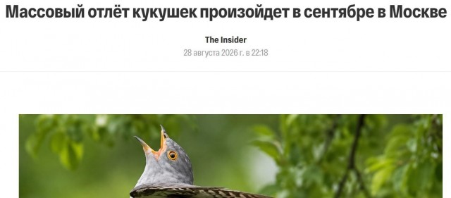 Была ууже такая новость?