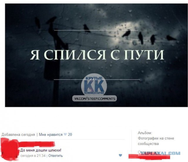 Смешные комментарии из социальных сетей #2