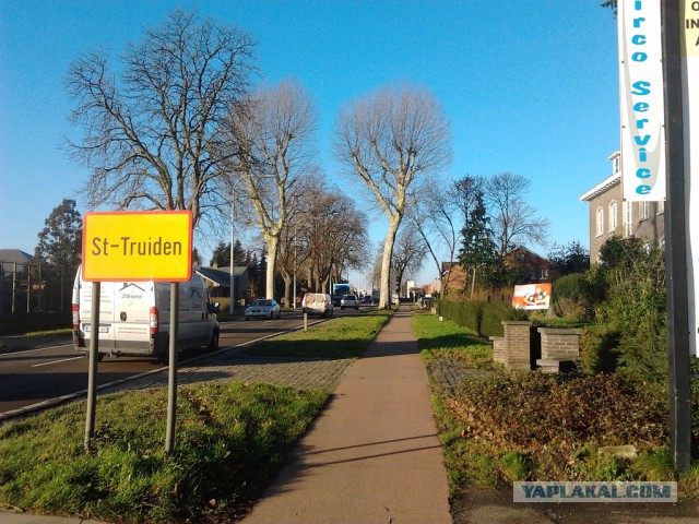 Где яблоки растут!