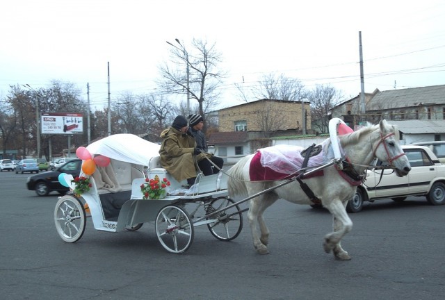 Ташкент в лицах