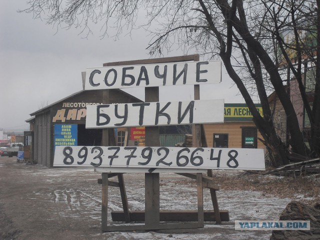 Иногда ошибки просто с ума сводят