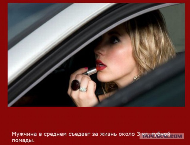 20 фактов обо всем