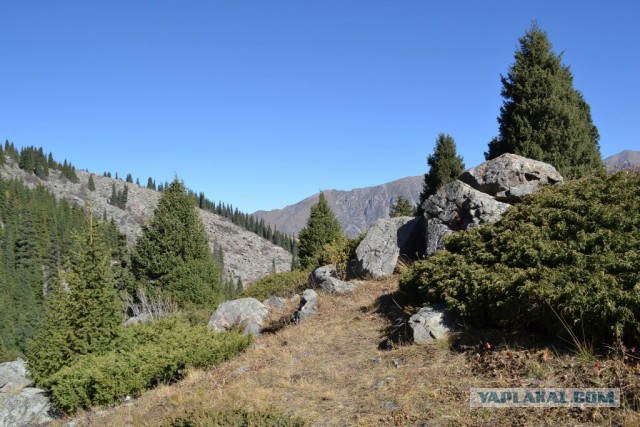 Деревенская Америка
