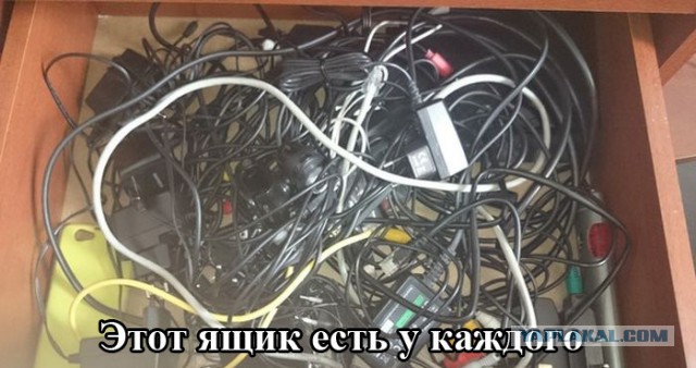 Картинки из сети на среду