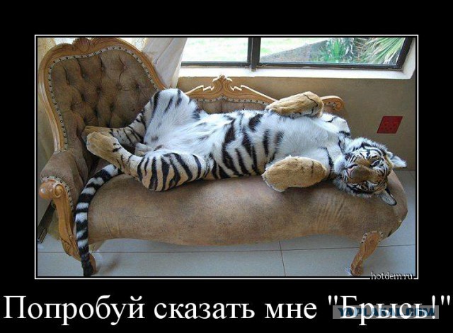 Немного позитива