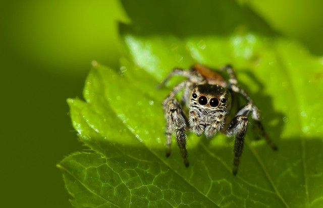 Подборка картинок 02.03.16