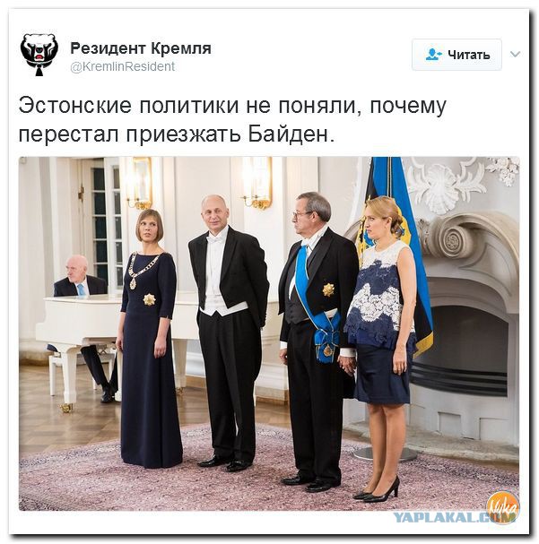 Политота в картинках