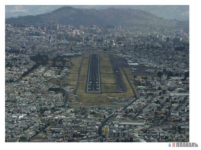 Это ж как они туда попадают?!