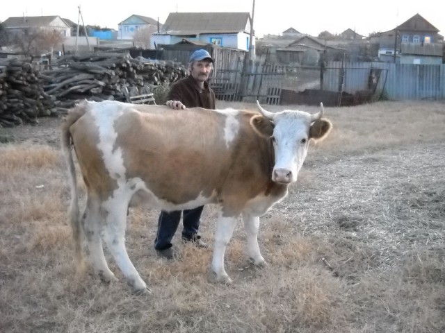 Как на самом деле растёт и выглядит еда перед тем, как попасть на полки супермаркетов
