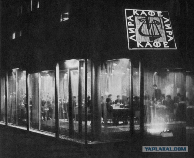 Дикая очередь или Любите ли вы бигмачную