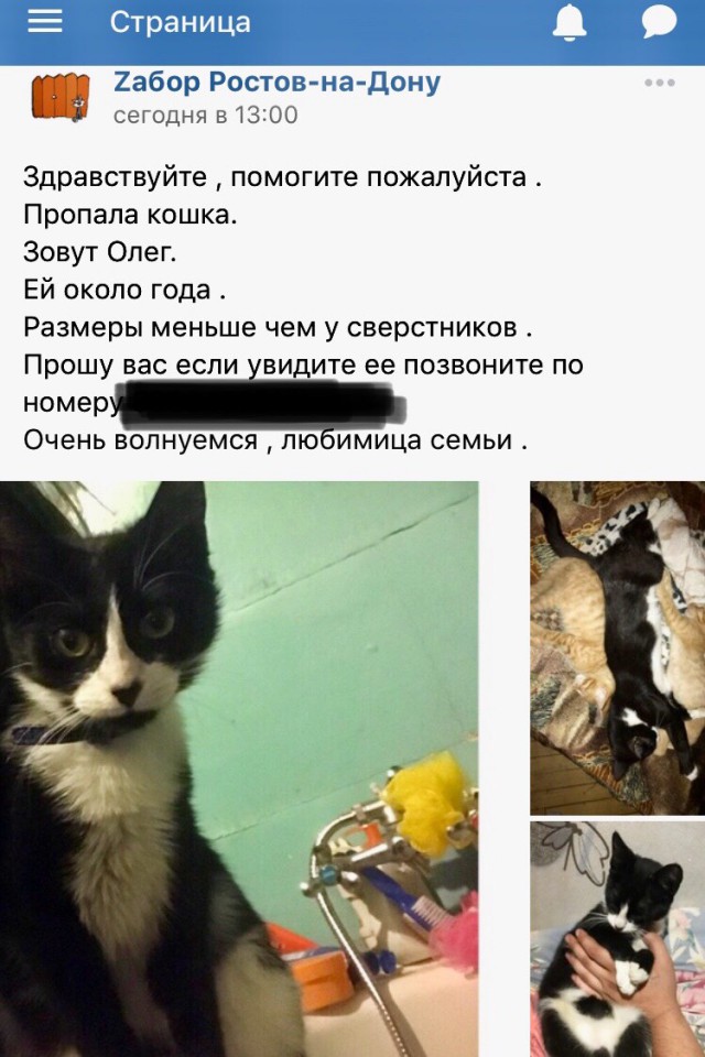 Прикольные комментарии и высказывания из Сети. 26.09. 2018.