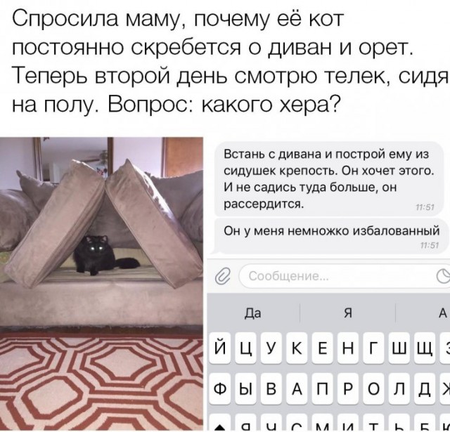 Скриншоты смешных комментариев