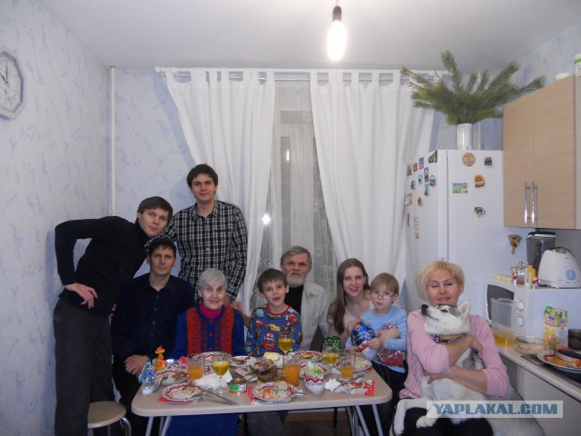 Фотографии, после которых вы захотите завести себе хаски