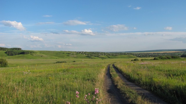 Красота сельских дорог