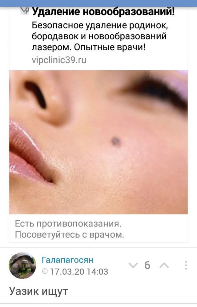 Ну хоть пингвинам свободы привалило!