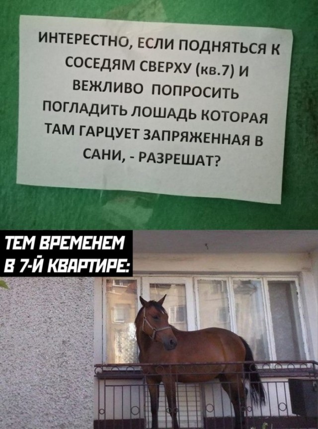 Немного картинок для настроения 25.05.20