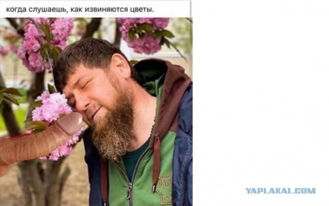 Юмор в картинках 21.08.20