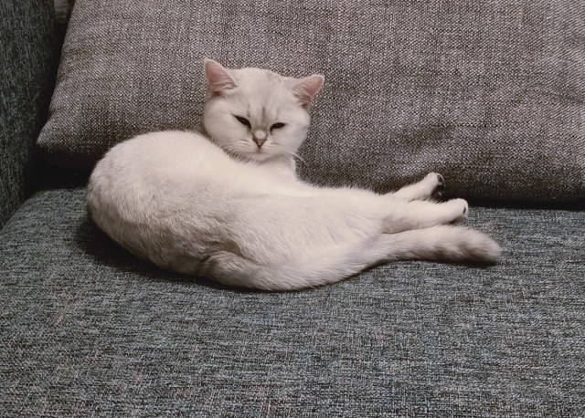 Моя красотка