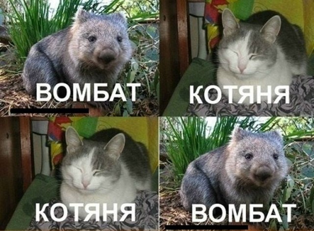 Новичок впервые создает тему
