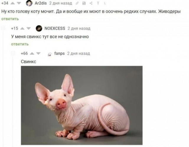 Картинки и мемы для настроения 11.08.2021