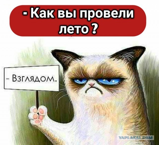 Весёлый полтишок 3.09