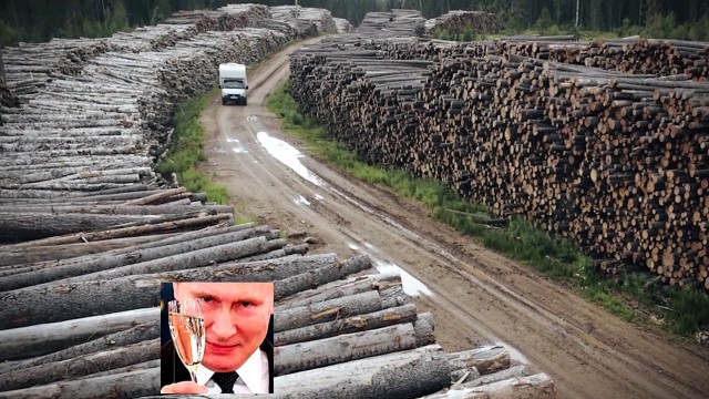 Путин опять ушел в тайгу. На четыре дня