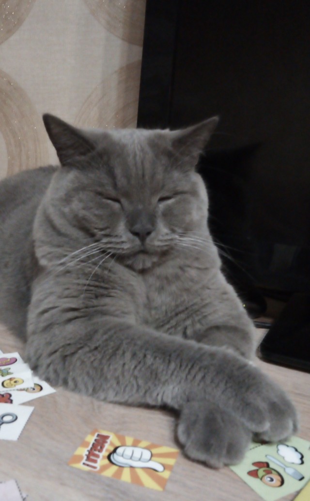 Котовторниковское
