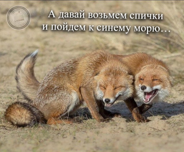 Пандемия съехавших крыш - разновидности болезни. Россия и мир. Часть 43.