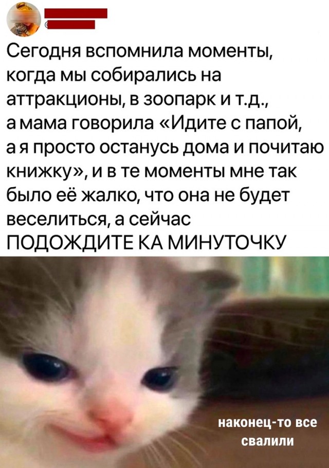 Так себе картинки 04.11.22