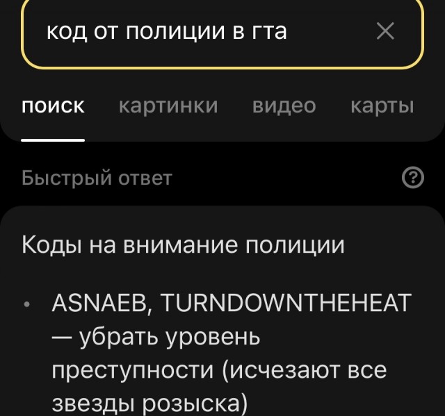 Биробиджан. Попытка уйти от полицейской погони