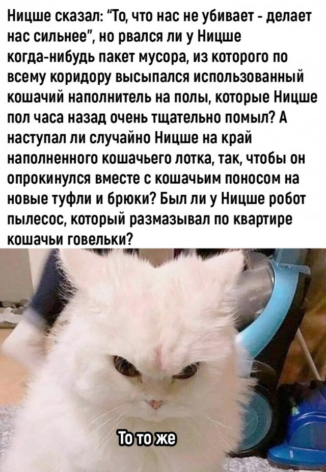 Так себе картинки 12.02.23