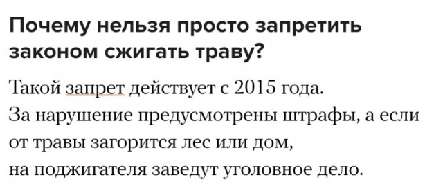Бурятские пожарные жгли траву в поле и случайно сожгли полдеревни