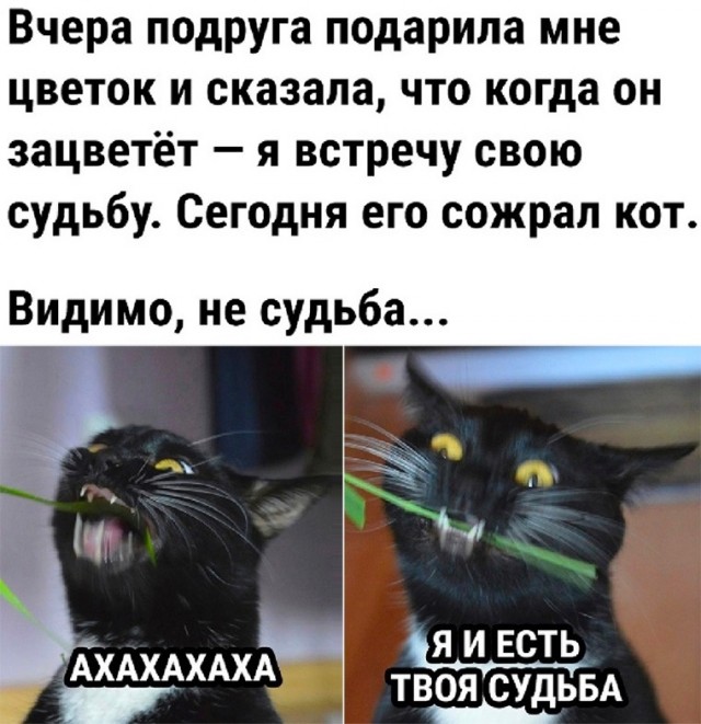Так себе картинки 26.05.23