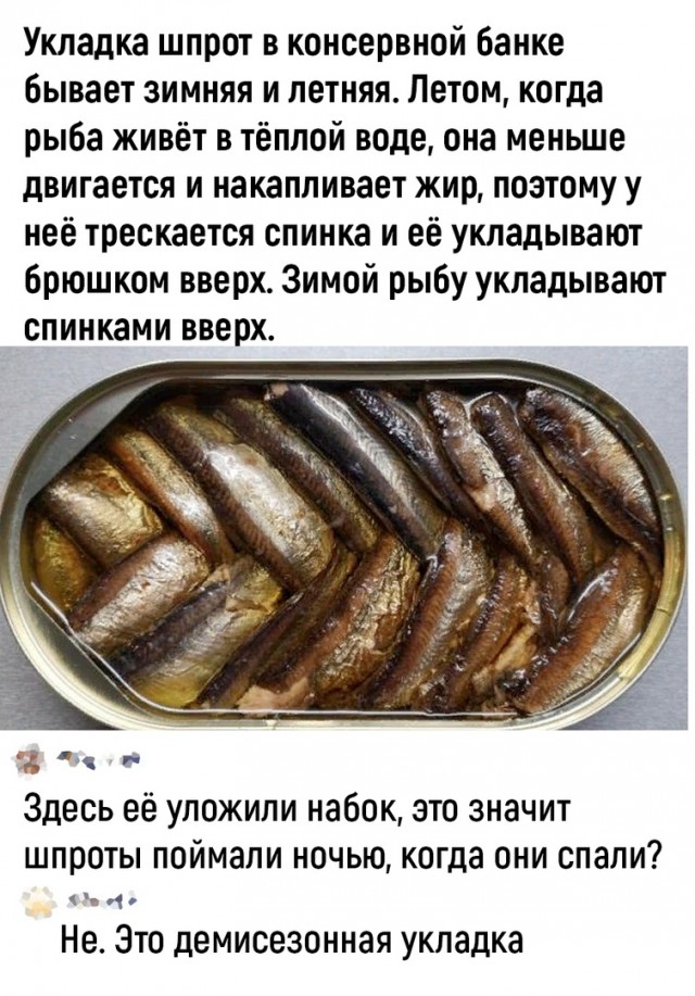 Так себе картинки 12.07.23
