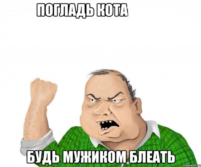 В Приморье замечен тигр, лениво наблюдающий за работой экскаватора